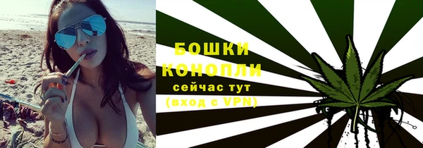 прущие крисы Белокуриха