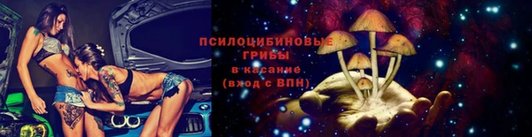 прущие крисы Белокуриха