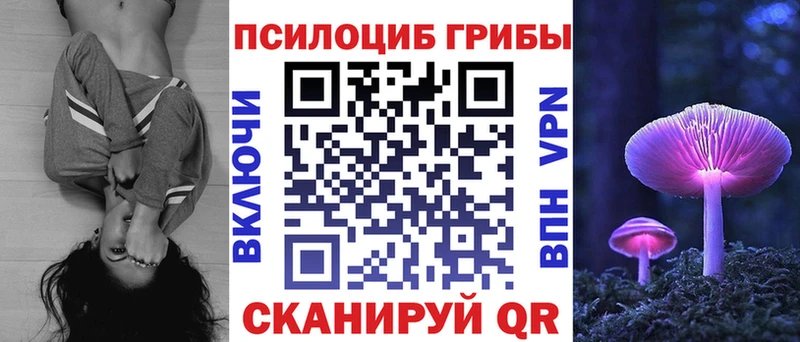Галлюциногенные грибы Psilocybe Кумертау